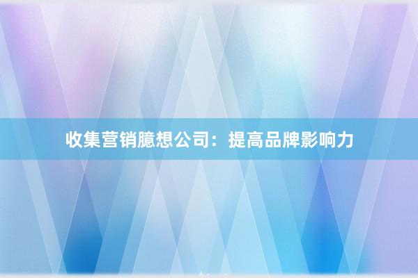 收集营销臆想公司：提高品牌影响力
