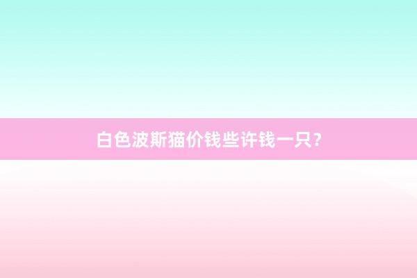 白色波斯猫价钱些许钱一只？